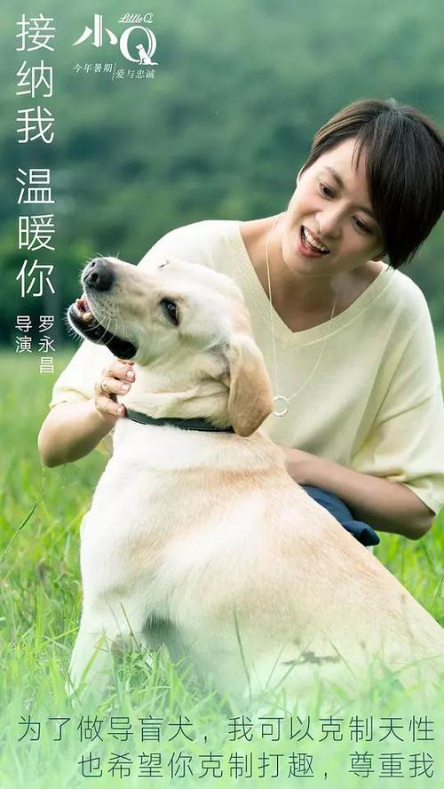 商品房房产证办理多少钱